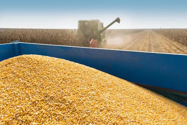 840.7亿斤！内蒙古粮食产量跃居全国第五 实现新跨越